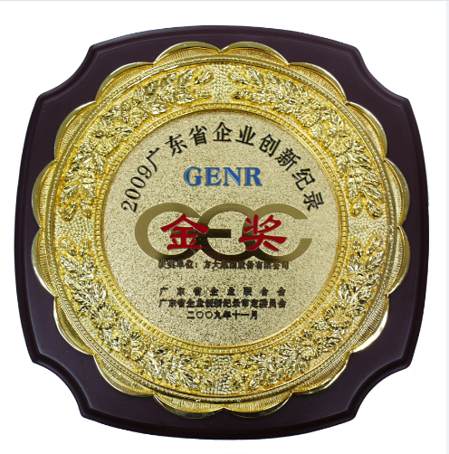 2009 广东省企业创新记录金奖 奖牌